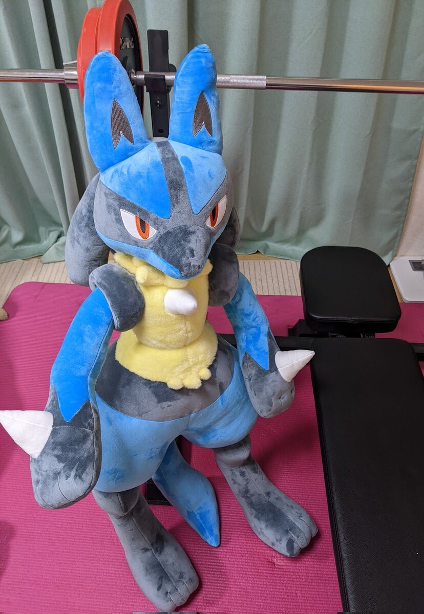 Keeperaft キープイルヨ
